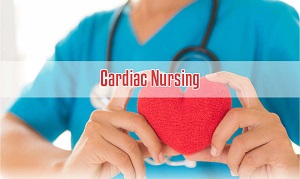 Cardiac nursing & Healthcare Photo